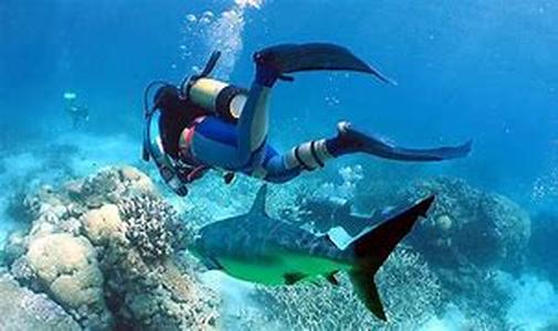 Scuba Diving During a Cruise Vacation