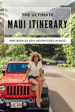 Choosing the Reliable Maui Real Estate Brokers  Buying or selling a home in Maui, Hawaii is one of the biggest investments you can ever make in your whole life