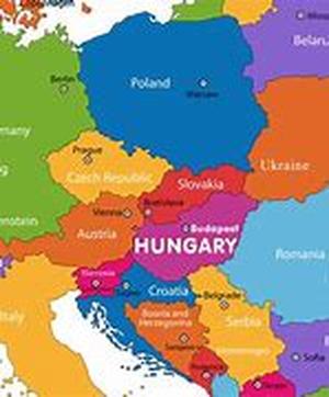 Budapest Parade  Festivals are celebrated all over the world