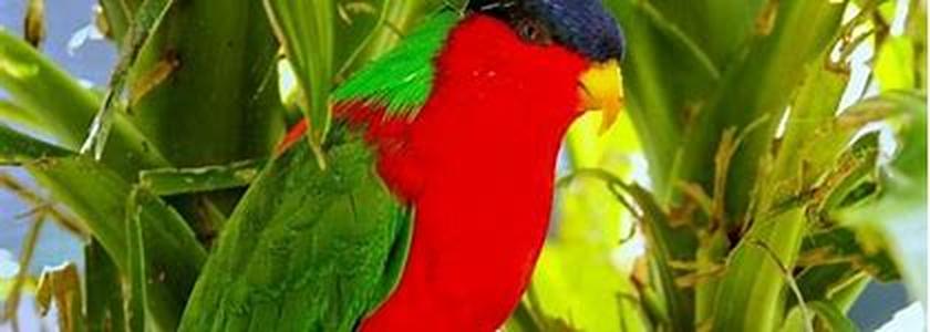 Tourism Industry
The breathtaking natural beauty that lies amidst the islands of  has made the island among the most visited places for blissful escapes
