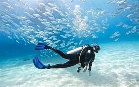 Scuba Diving Locations In Fiji