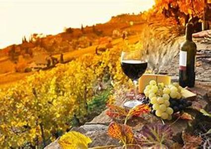 Wine And Dine With A View Enjoy The Weather With Picnics, Walks And Fine Wine