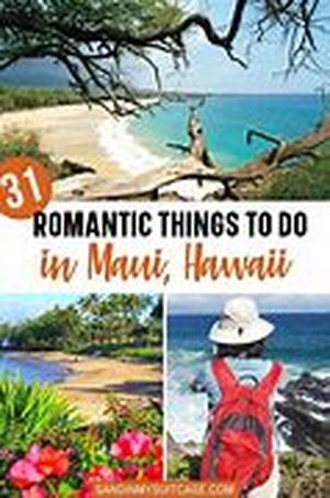 MAUI VACATION RENTALS  Summary: A variety of Maui vacation rentals are available for booking online to give you a hassle-free Maui trip