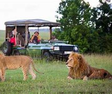 Adventure Travel Tours: A Day on the Trail