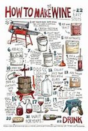 Going to the Source to Learn Home Brewing