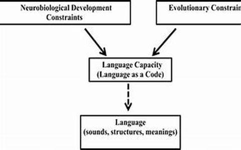 Syllables in Learning French through Foreign Language Training