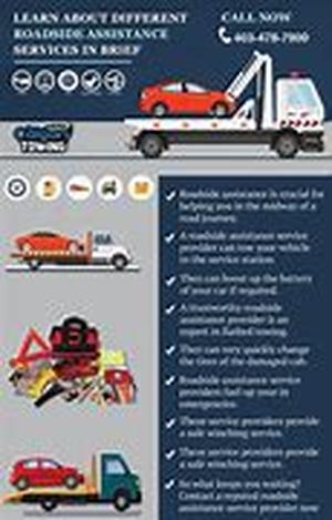 Land Rover Introduces CO2 Offset Programme At Auto Show